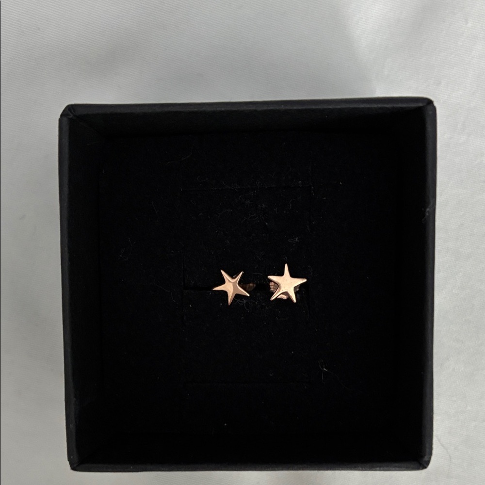 Catbird 14k Solid Gold Star Earrings